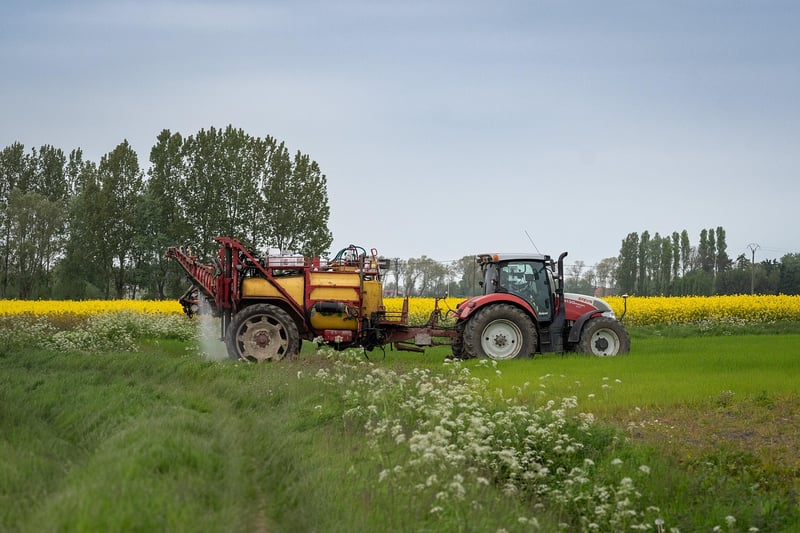 Farm-to-Table Cuisine